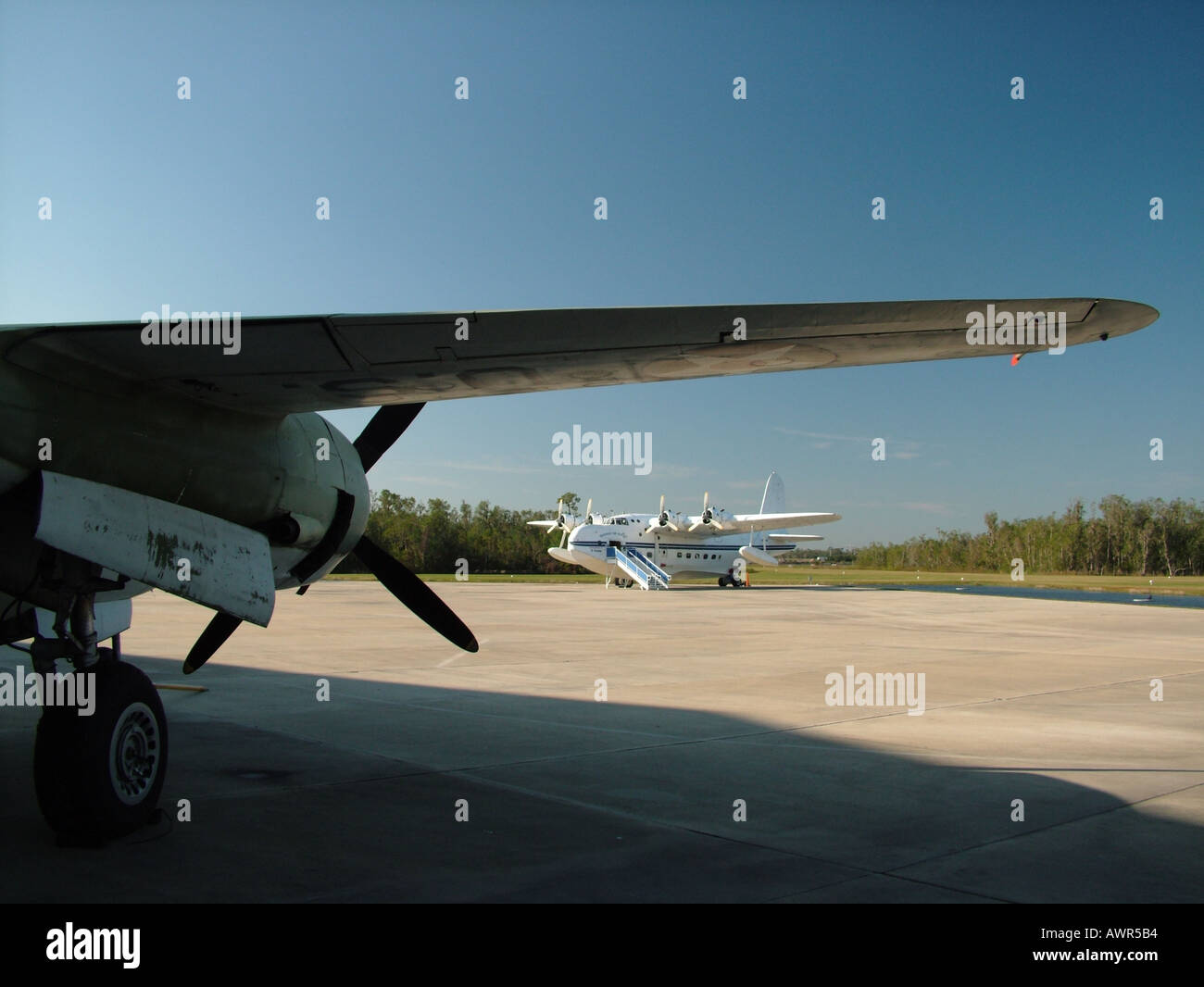 AJD39937, Polk City, FL, Florida Stockfoto