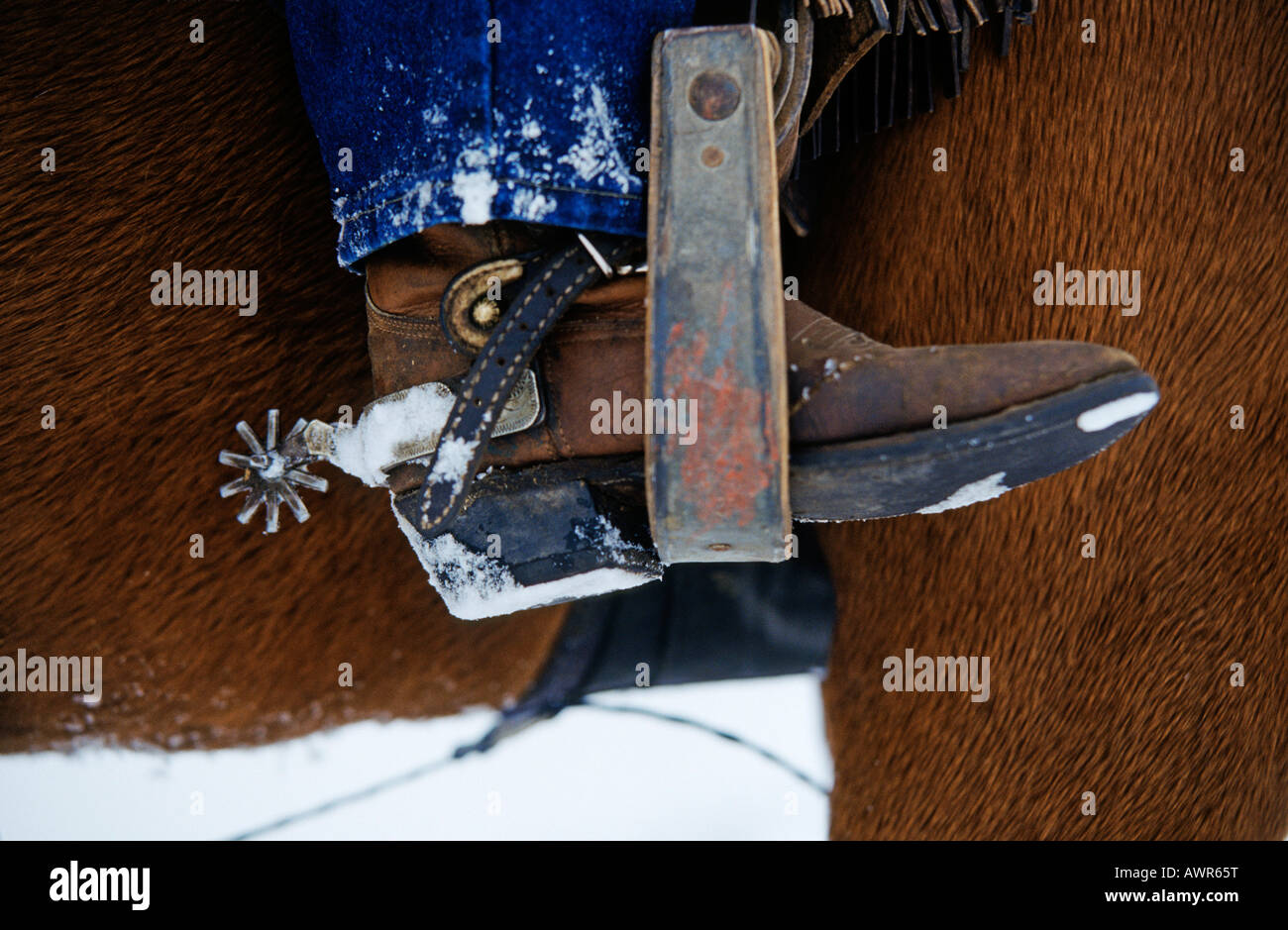 Cowboy-Stiefel mit Sporen Stockfoto