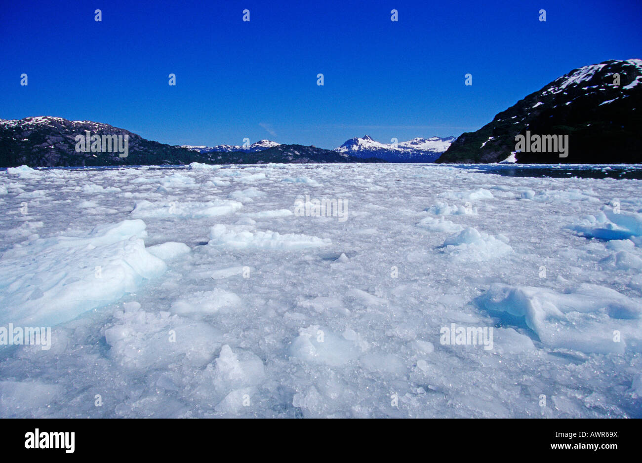 Eisgefüllten Fjord, Chenega Gletscher, Prince William Sound, Alaska, USA Stockfoto