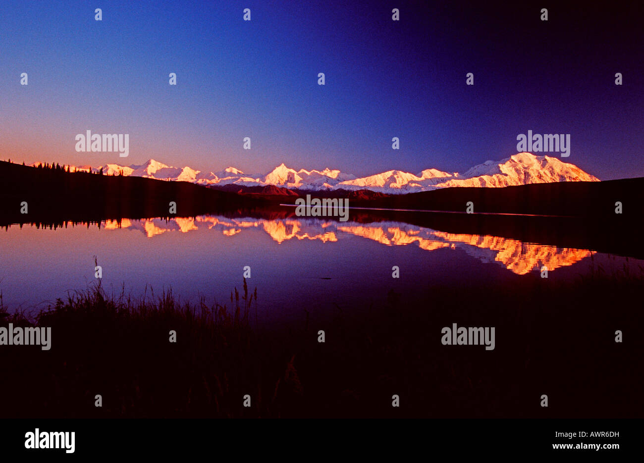 Mt. McKinley, höchsten Berg Nordamerikas, spiegelt sich auf Wonder Lake von Dämmerlicht, Denali National Park, Alaska, USA Stockfoto