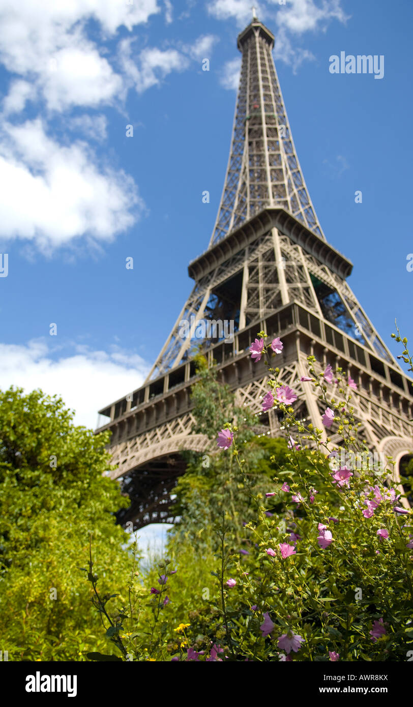 Eiffelturm in Paris, Frankreich durch Bouganvilleas gesehen Stockfoto