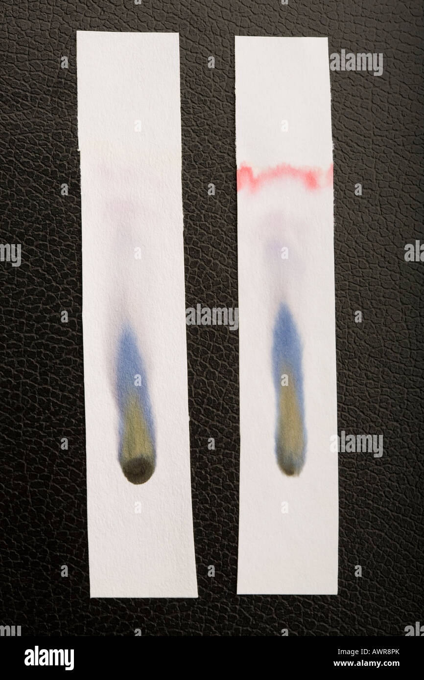 Papierchromatographie der zwei verschiedene Arten von schwarzer Tinte Stockfoto