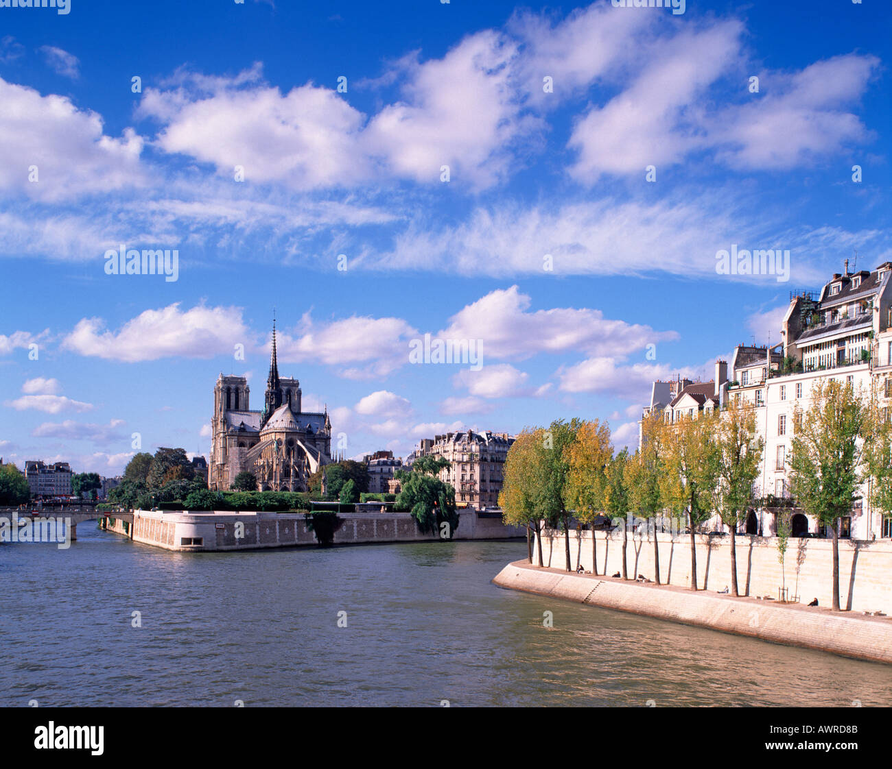 Notre Dame, Ufer, Paris, Frankreich Stockfoto