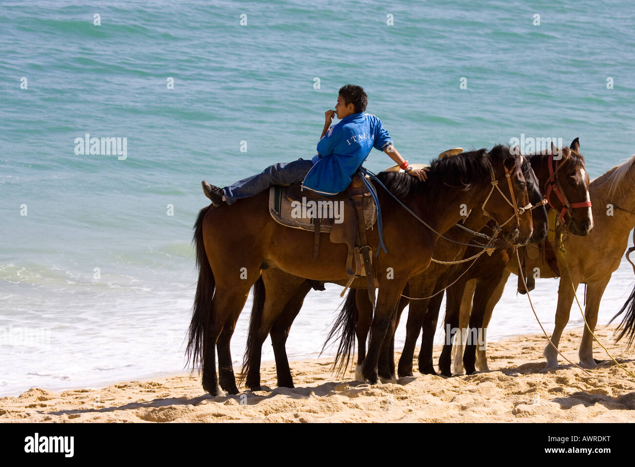 Junge liegend auf einem Pferd am Strand Stockfoto