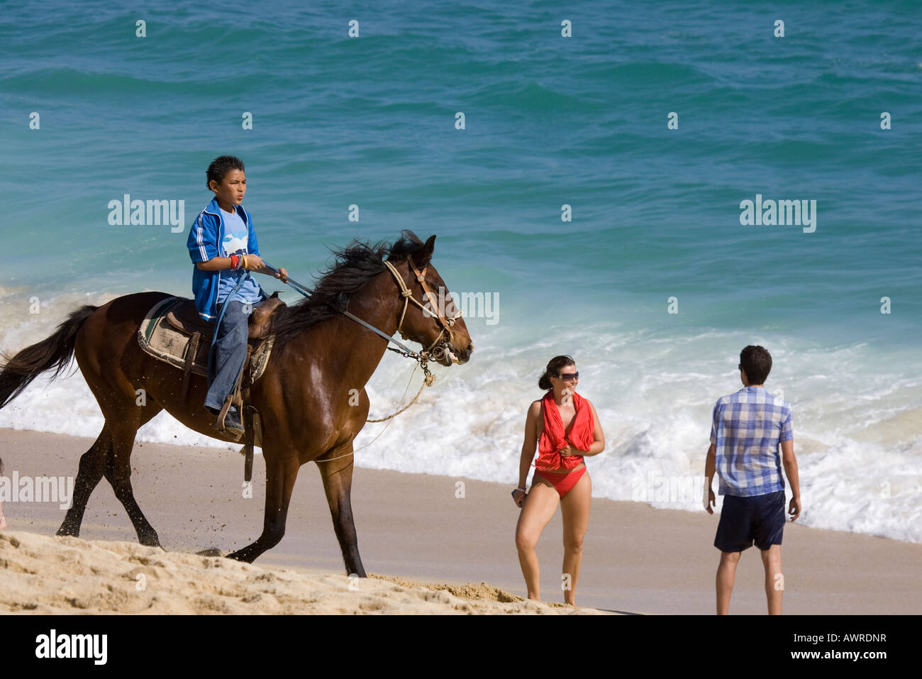 Junge auf einem Pferd am Strand Stockfoto