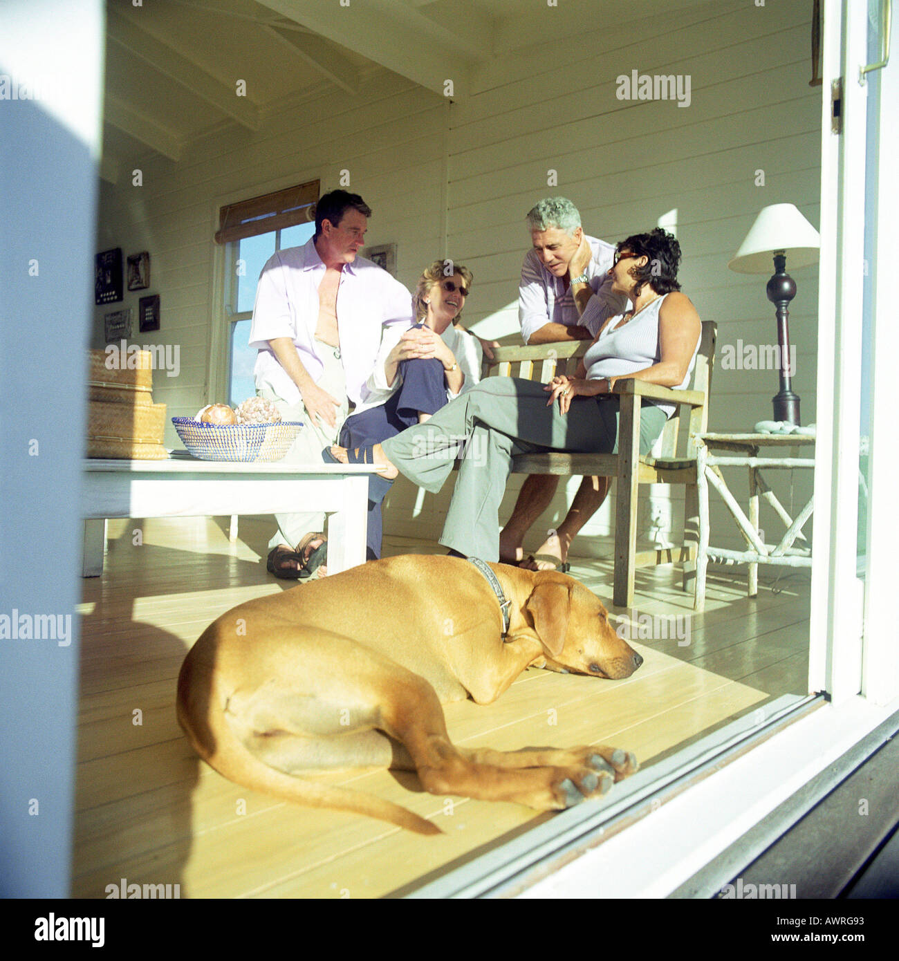 Vier Personen in einem Raum, Hund am Boden liegend Stockfoto