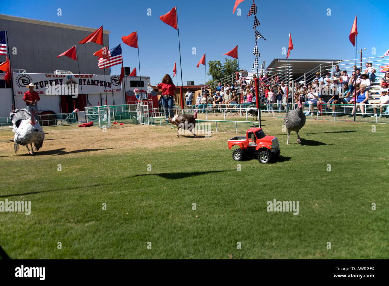 Türkei-Rennen auf der southern California Messe in Perris Riverside County Kalifornien USA Stockfoto