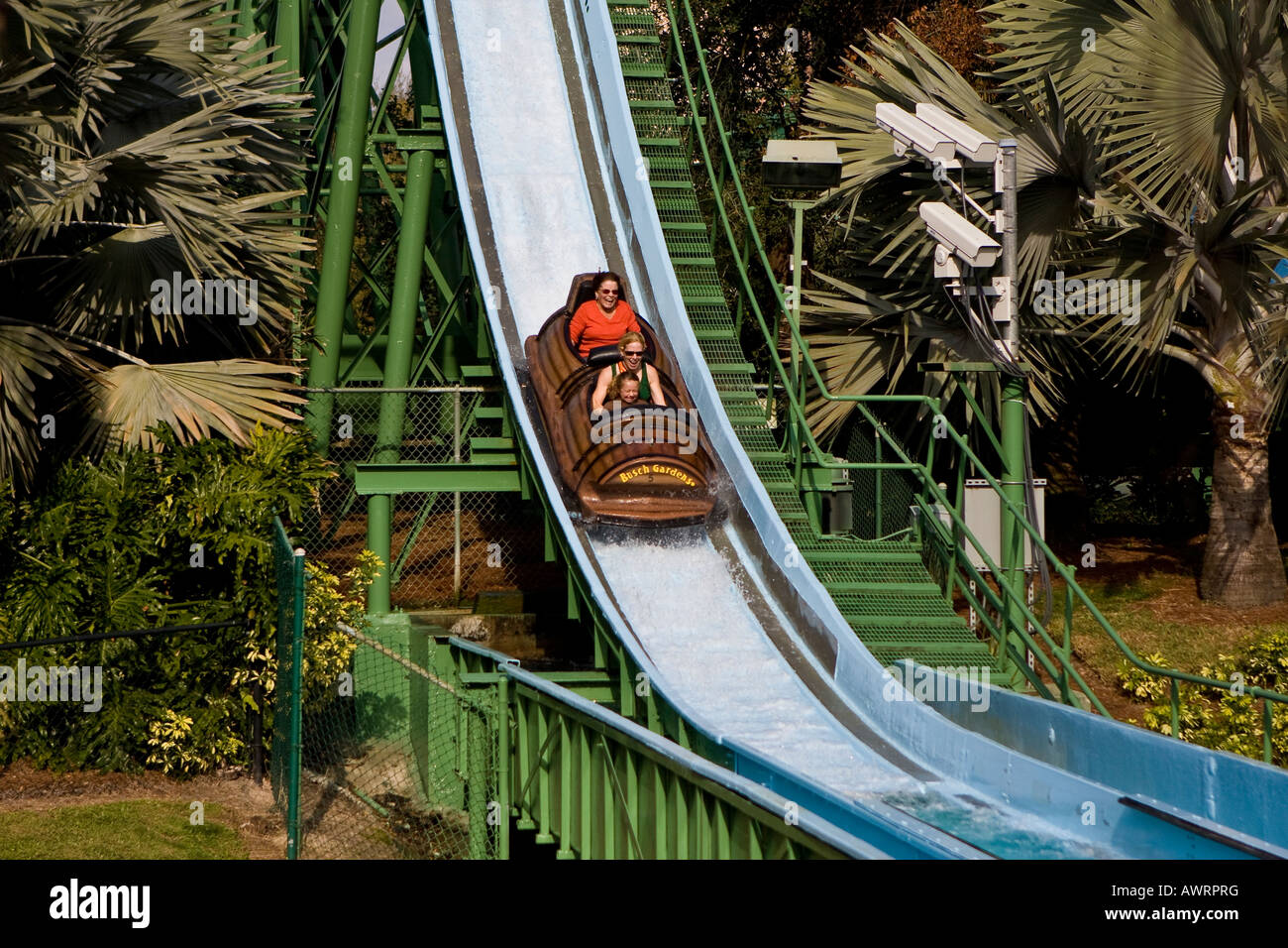 Log Flume Ride Im Busch Gardens Florida Usa Stockfoto Bild
