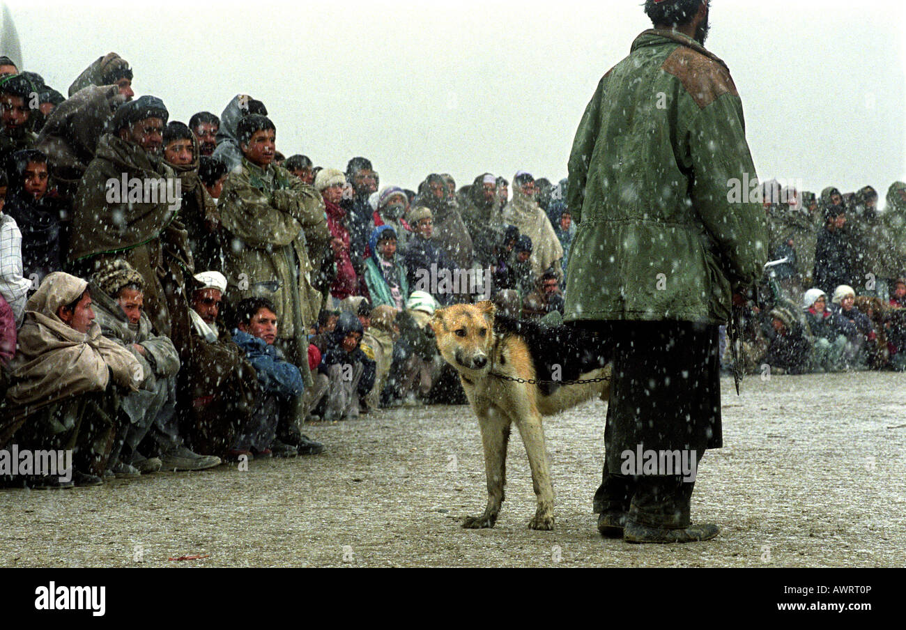 Ein Mann mit seinem Hund warten darauf, in den traditionellen Hundekämpfe in Kabul, Afghanistan zu konkurrieren Stockfoto