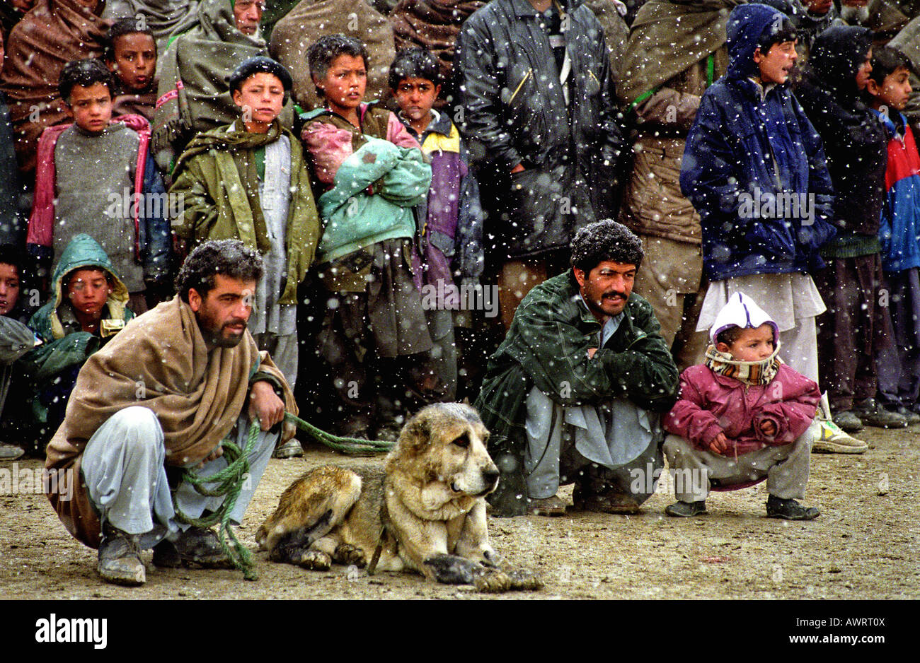 Ein Mann mit seinem Hund warten darauf, in den traditionellen Hundekämpfe in Kabul, Afghanistan zu konkurrieren Stockfoto