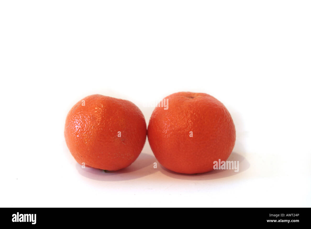 Zwei Clementinen Citrus Reticulata netzförmig Zitrusfrüchte auf weißem Hintergrund Stockfoto