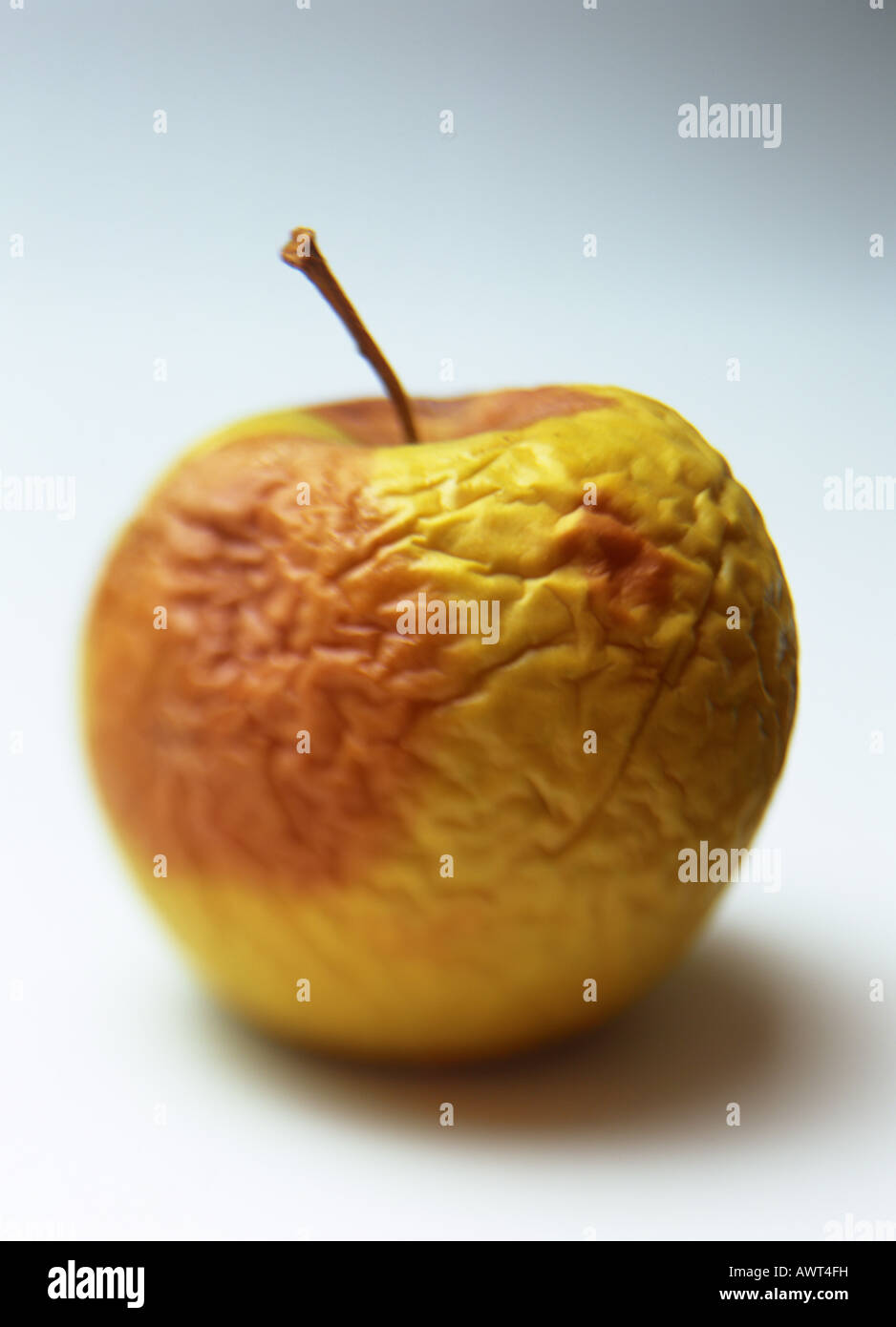 EINE FAULE UND FALTIG GELBER APFEL GOLDEN DELICIOUS Stockfoto