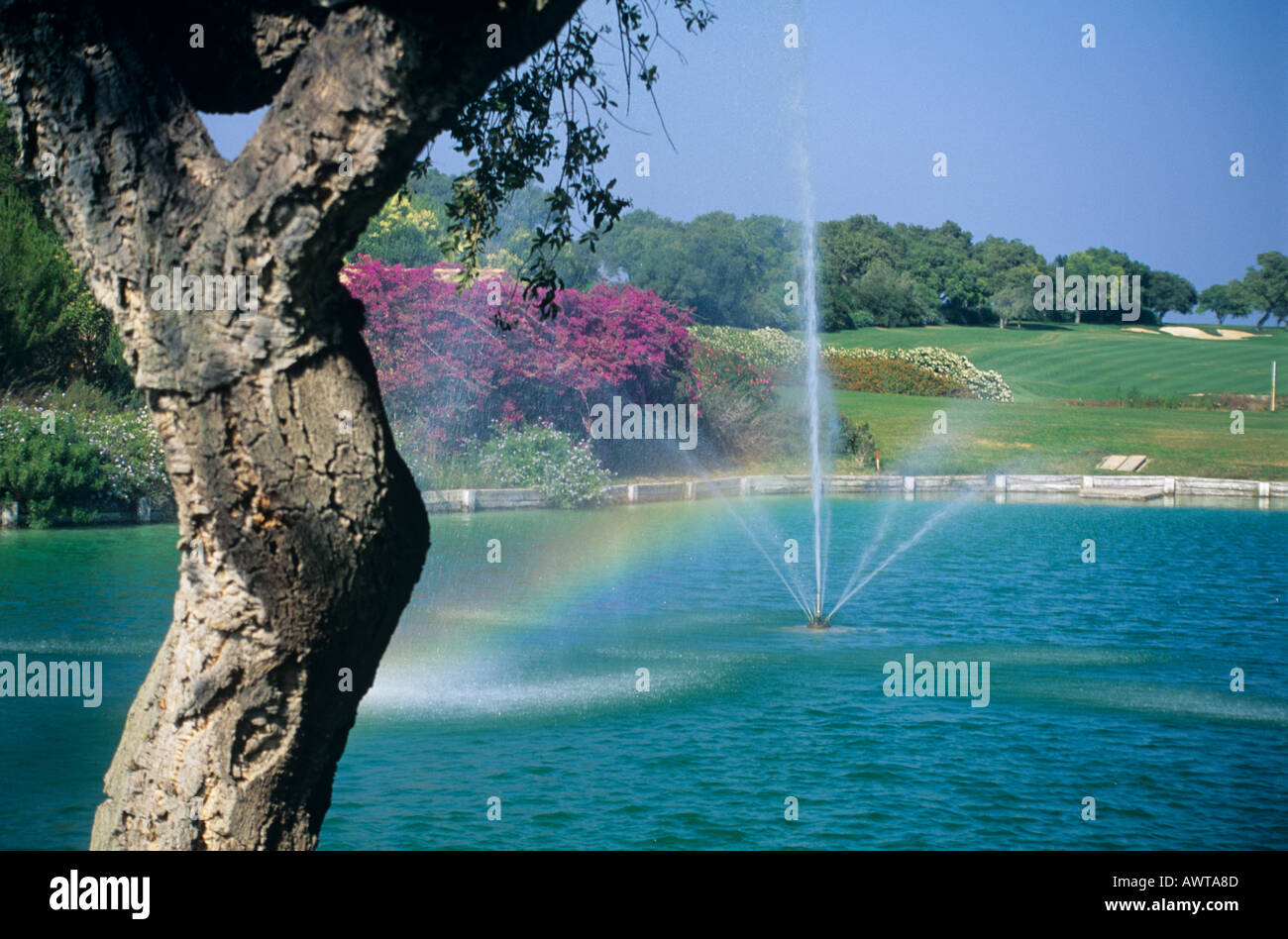 Valderrama Golf Course, Sotogrande, Cádiz Provinz, Andalusien, Andalusien, Spain.Valdrerrama Korkeiche Stockfoto