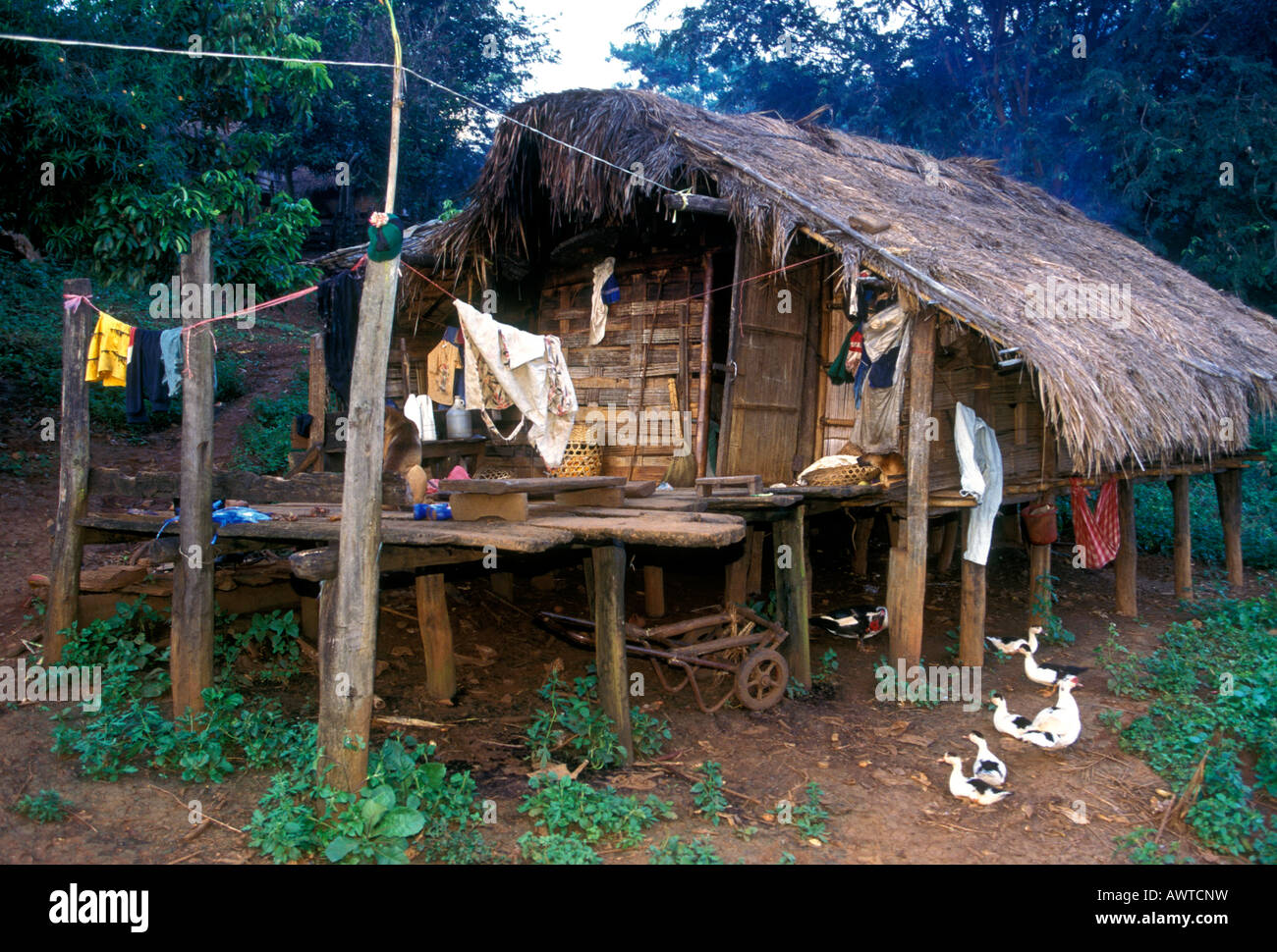 Bambus Haus auf Stelzen, Schwarzen Lahu Dorf, Hill Tribe, Provinz