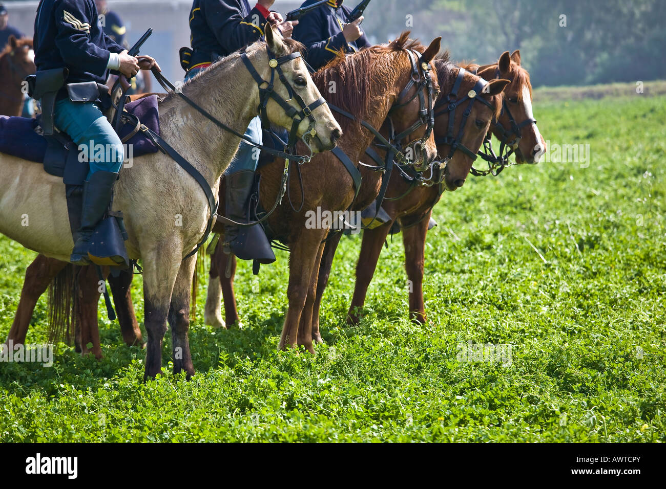 American Civil War Reenactment Soldaten zu Pferde in Vista, Kalifornien Stockfoto