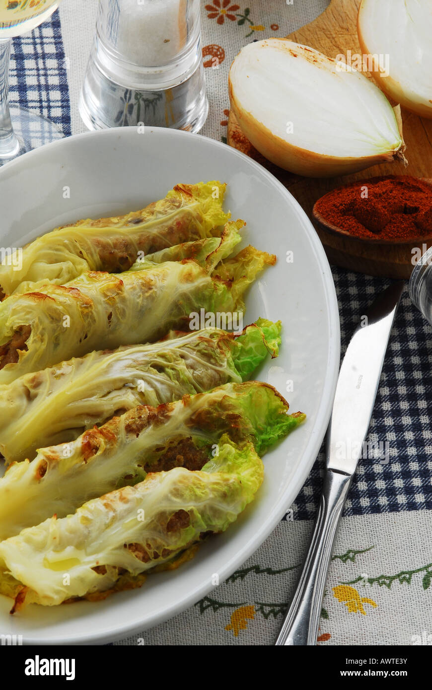 Savoy Rouladen - italienische Küche Stockfoto