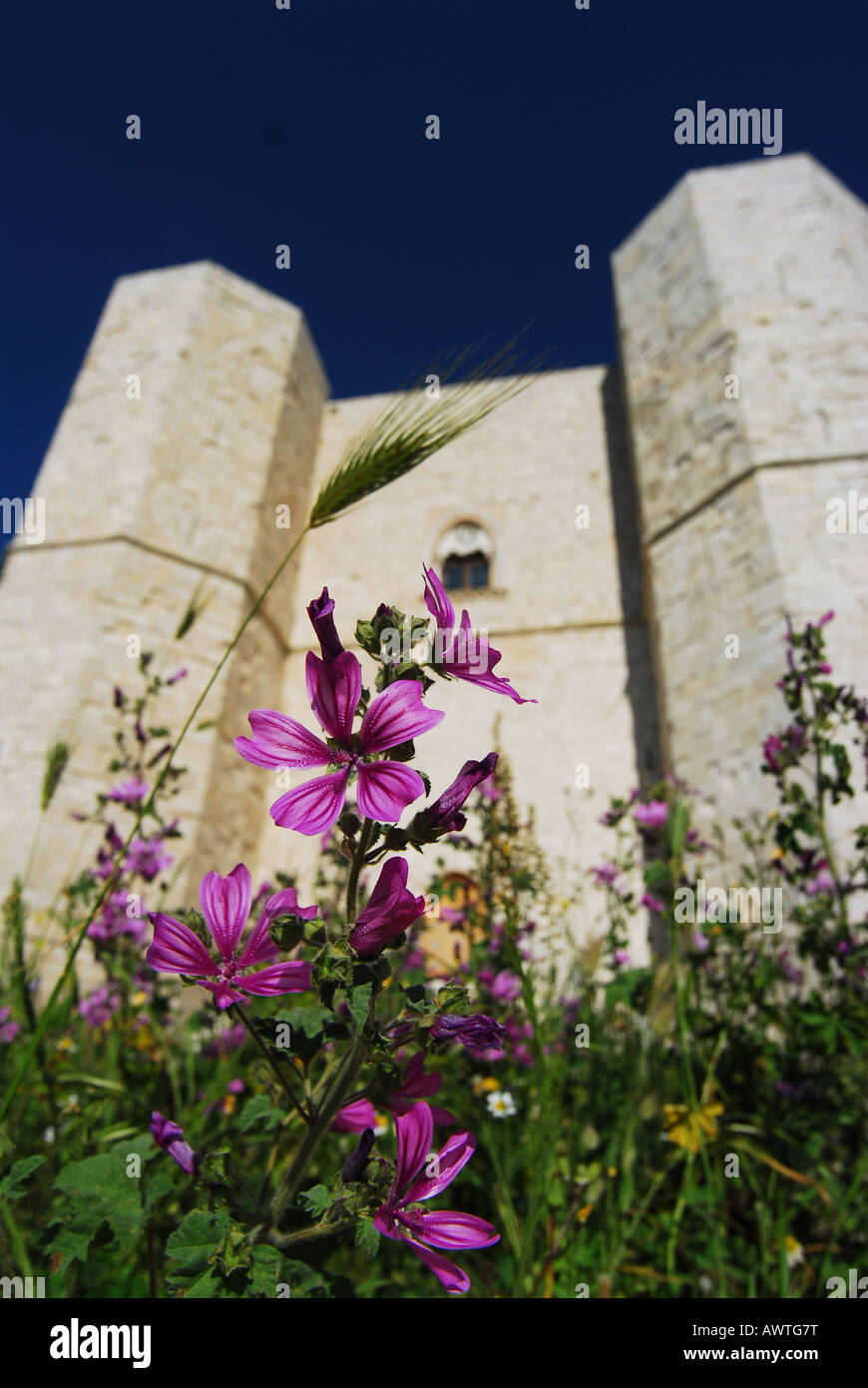 Castel del Monte - Andria Apulien Italia - Europa Süd-Italien Stockfoto