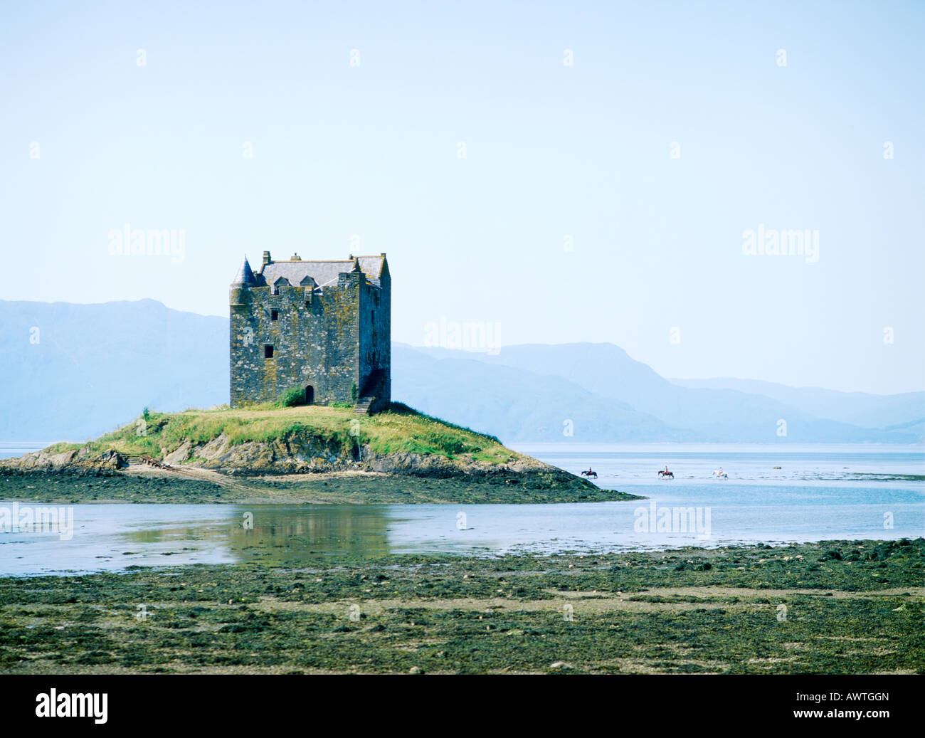 Pony-Trekker pass Castle Stalker auf Loch Linnhe. Aussehende NW auf Berge von Kingairloch in Strathclyde Region von West-Schottland Stockfoto