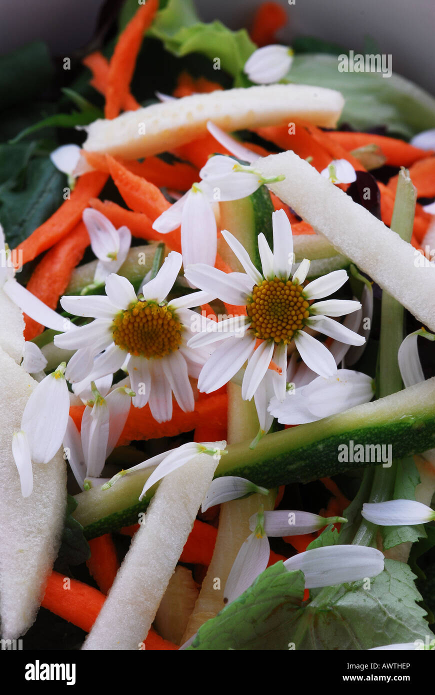 Salat - Küche Stockfoto