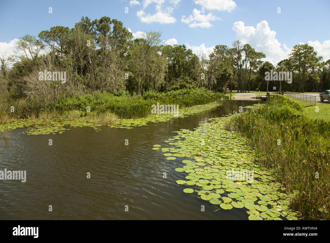 Boot Rampe Einlass am See Deaton in Zentral-Florida, USA Stockfoto