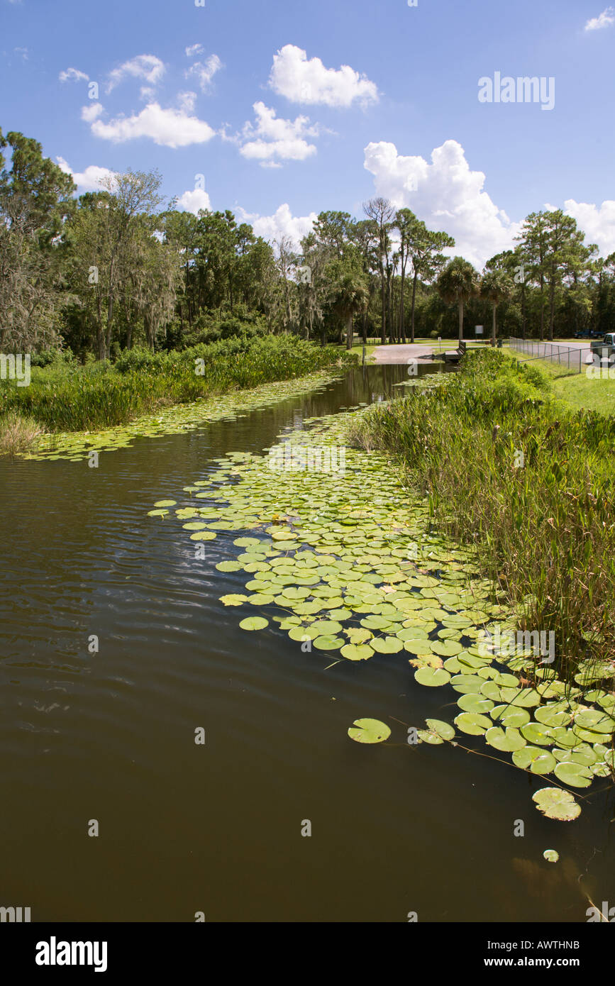 Boot Rampe Einlass am See Deaton in Zentral-Florida, USA Stockfoto