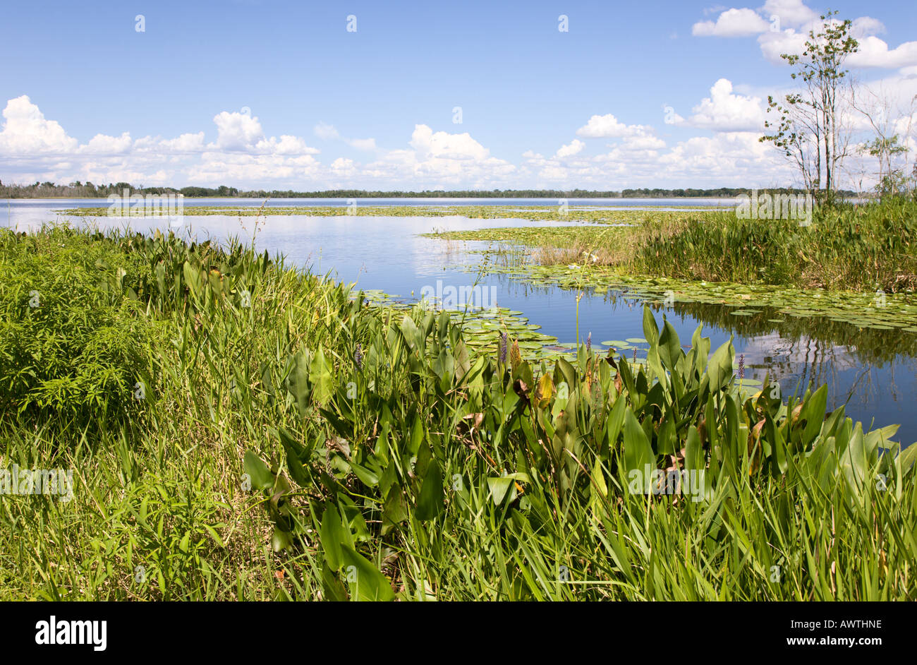 Boot Rampe Einlass am See Deaton in Zentral-Florida, USA Stockfoto