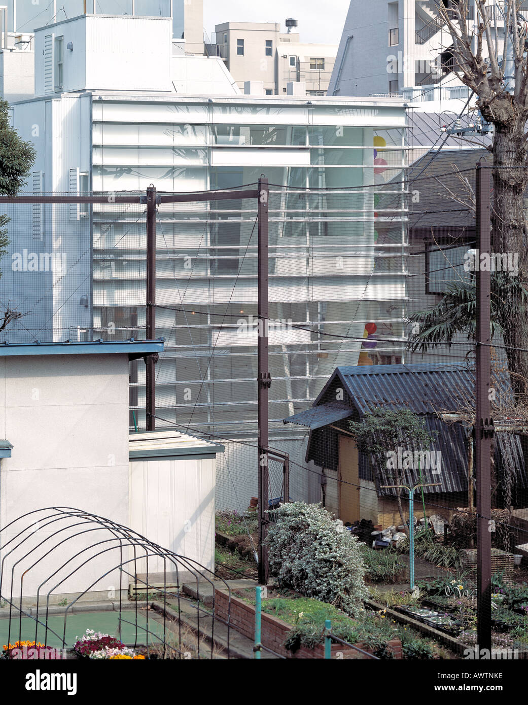II. NATÜRLICHE STREIFEN, TOKYO, JAPAN Stockfoto