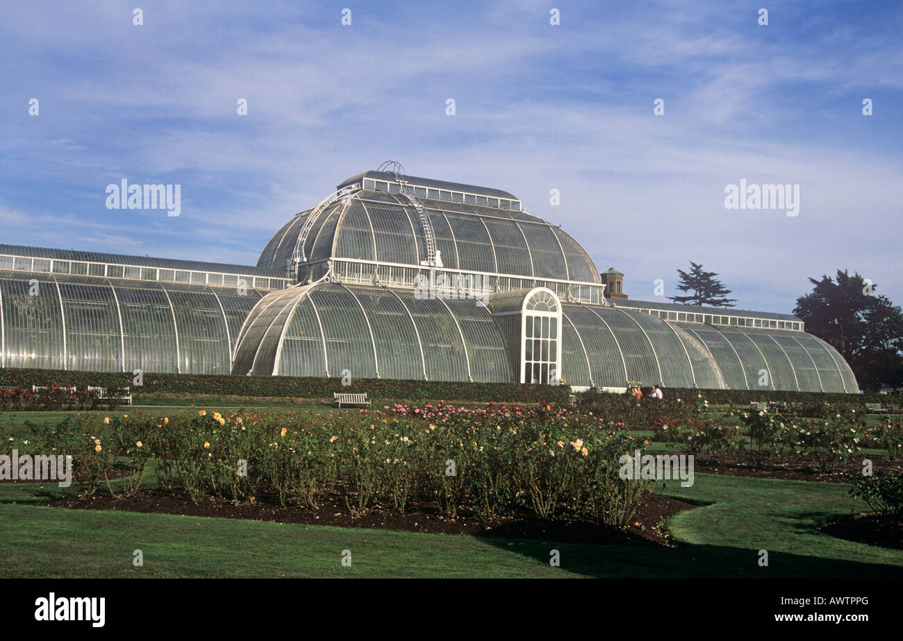 Der Rosengarten und das Palmenhaus in Kew gardens Stockfoto