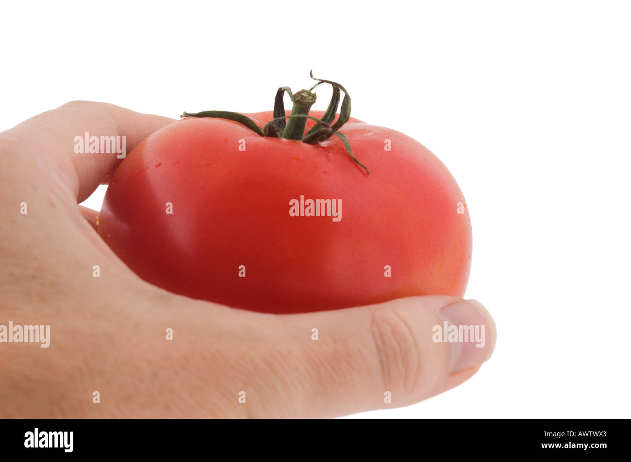 Nahaufnahme von einer Hand hält eine Tomate Stockfoto