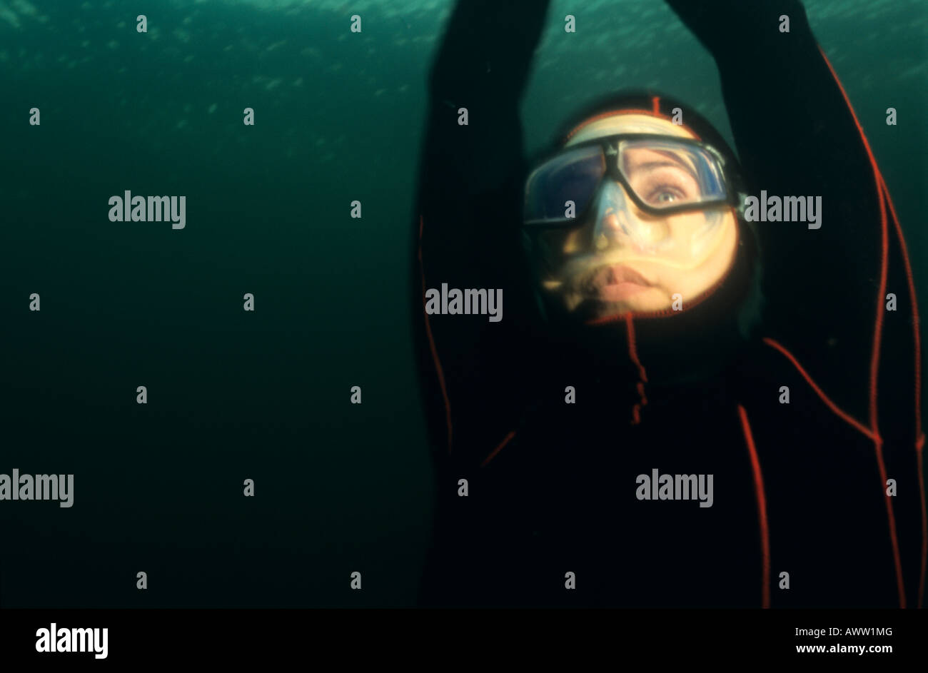 Freediver entstehen nach einem Tauchgang, Schweden Stockfoto