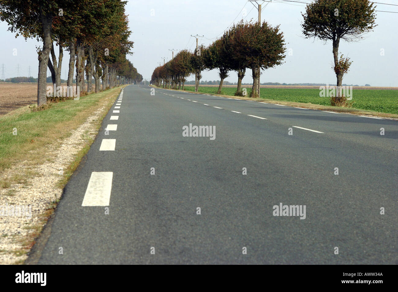 Französische Straßen gesäumt von Bäumen in Zentral-Frankreich Stockfoto