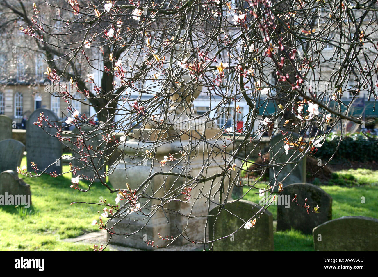 William Townesend Monument St Giles Kirche Oxford durch Kirschblüte Stockfoto