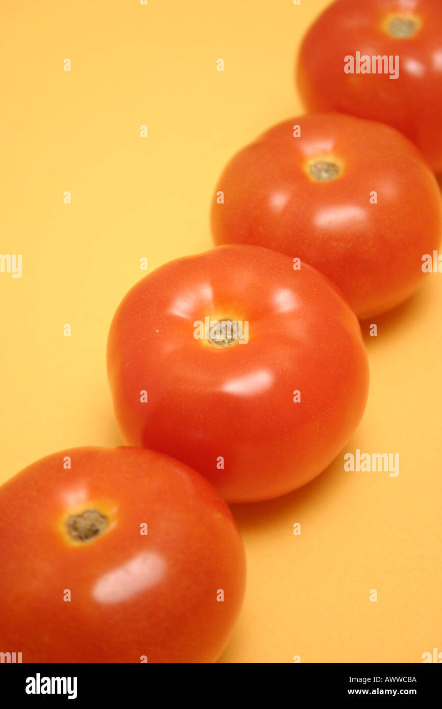 Tomaten in einer Linie auf gelbem Hintergrund angeordnet Stockfoto