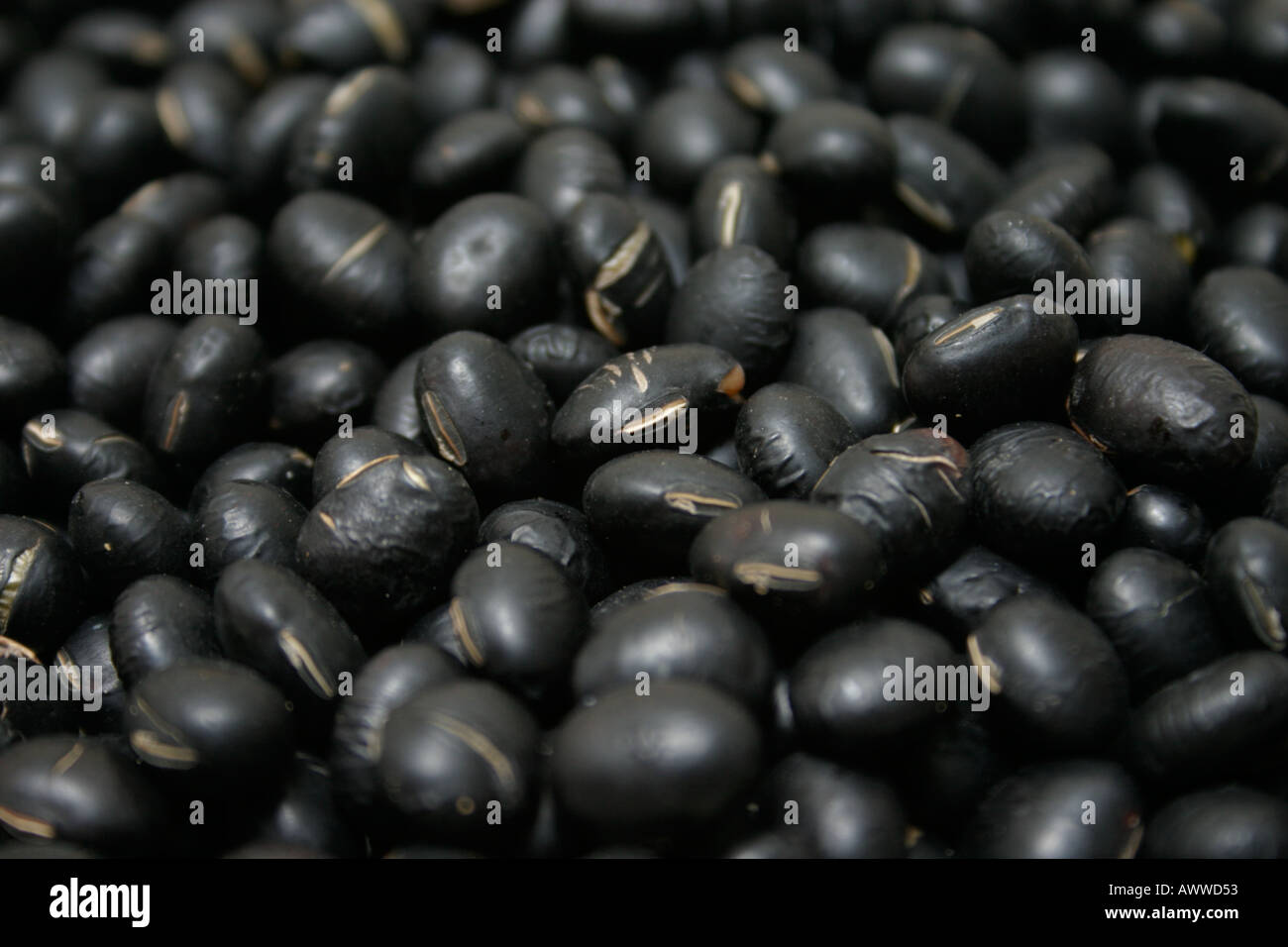 Fermentierte schwarze bohne -Fotos und -Bildmaterial in hoher Auflösung ... Fermentierte schwarze bohne -Fotos und -Bildmaterial in hoher Auflösung ...