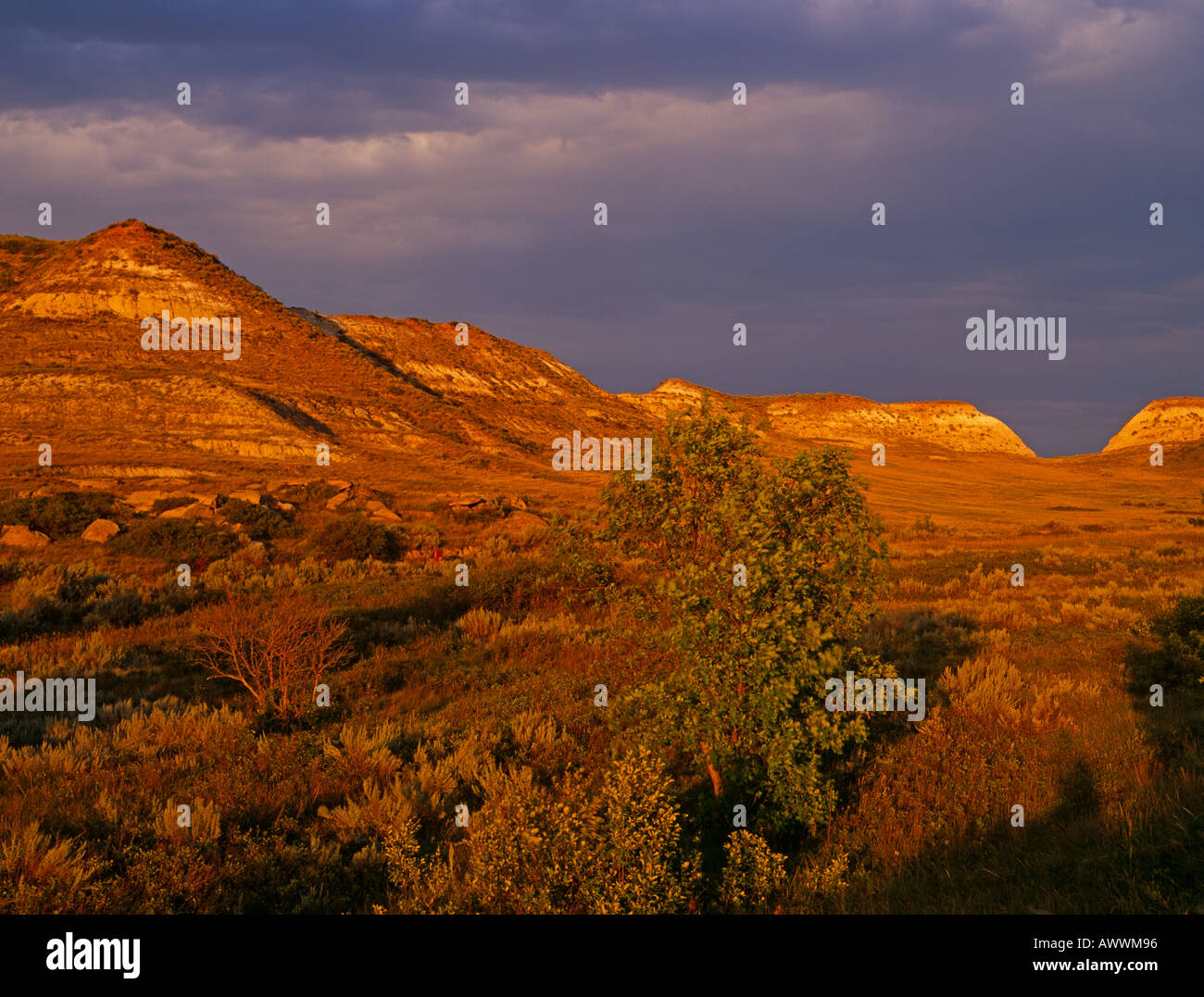 Prairie und Sedimentgestein, Theodroe-Roosevelt-Nationalpark, North Dakota, USA Stockfoto