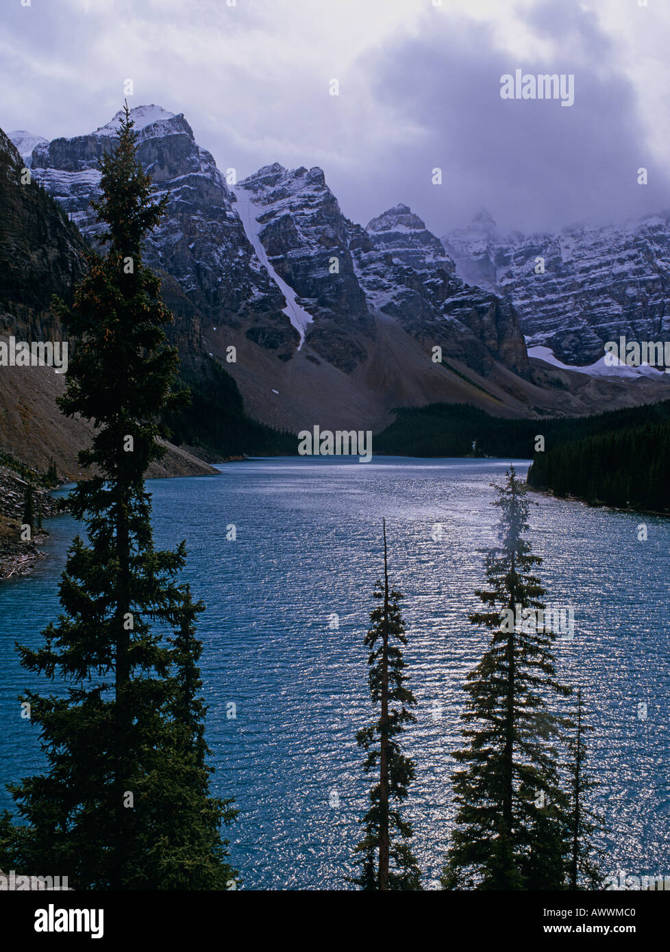 Hinterleuchtete Berg Hemlocktannen, Maligne Lake, Rocky Mountains, Banff Nationalpark, Alberta, Kanada Stockfoto