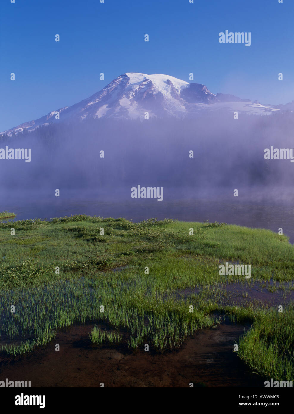 Mount Rainier, Mt Rainier National Park im Nebel, Reflection Lake, Washington, USA Stockfoto