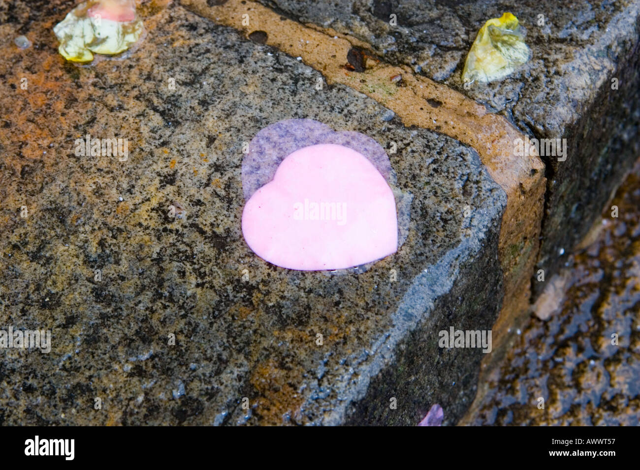 Hochzeit Konfetti in Pfützen von Regenwasser auf den Stufen der Kirche von Santa Ana Castro Kantabrien Nordspanien Stockfoto