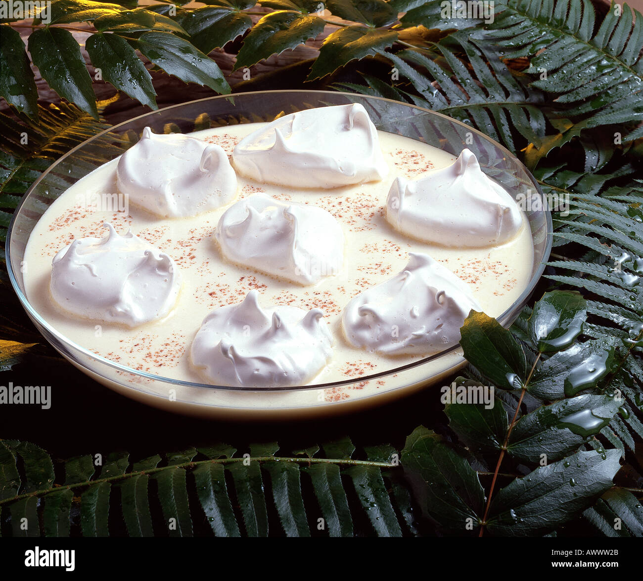 Schwimmende Insel Pudding Baiser Bon Appetit Stockfoto