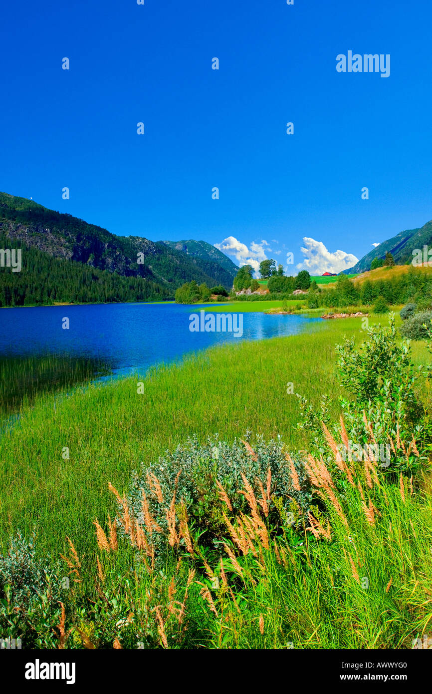 Landschaft in Telemark, Norwegen Stockfoto