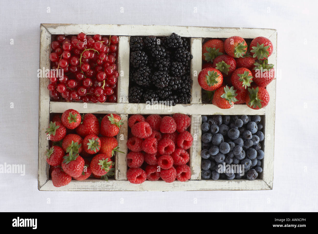 Verschiedene Beeren im Container, Ansicht von oben Stockfoto