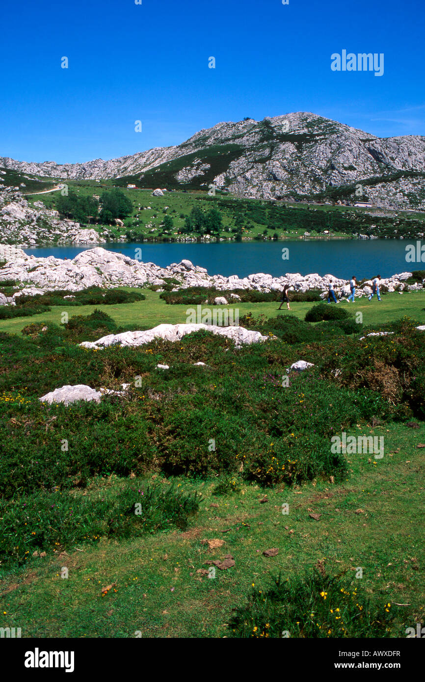 Lago De La Ercina See in Picos de Europa in der Nähe von Covadonga Stockfoto