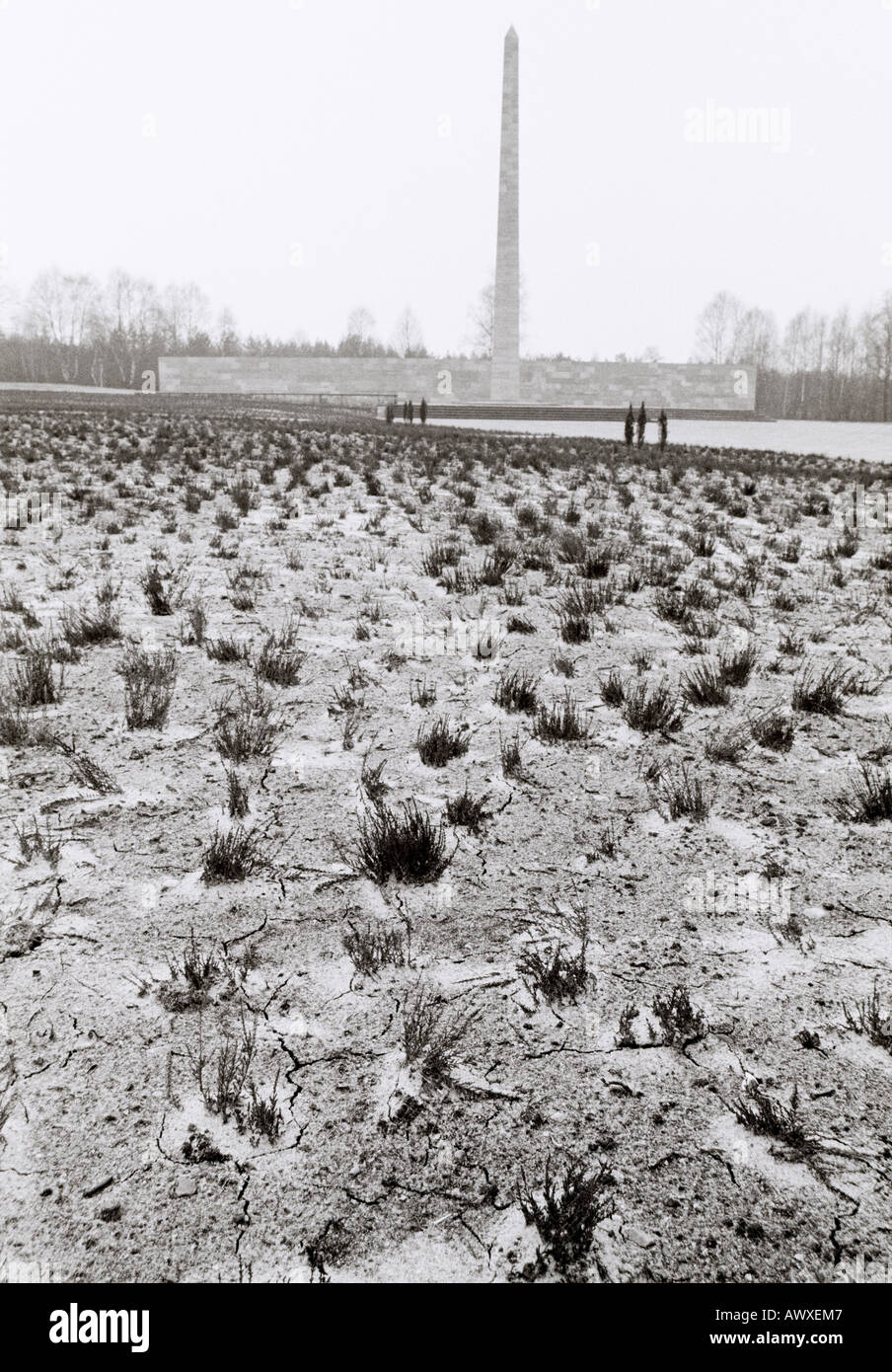 Grabhügel im Konzentrationslager Bergen-Belsen Nazi-Tod in Deutschland in Europa. Geschichte Memorial historischen Holocaust jüdische Mord Memorial Nazismus Stockfoto