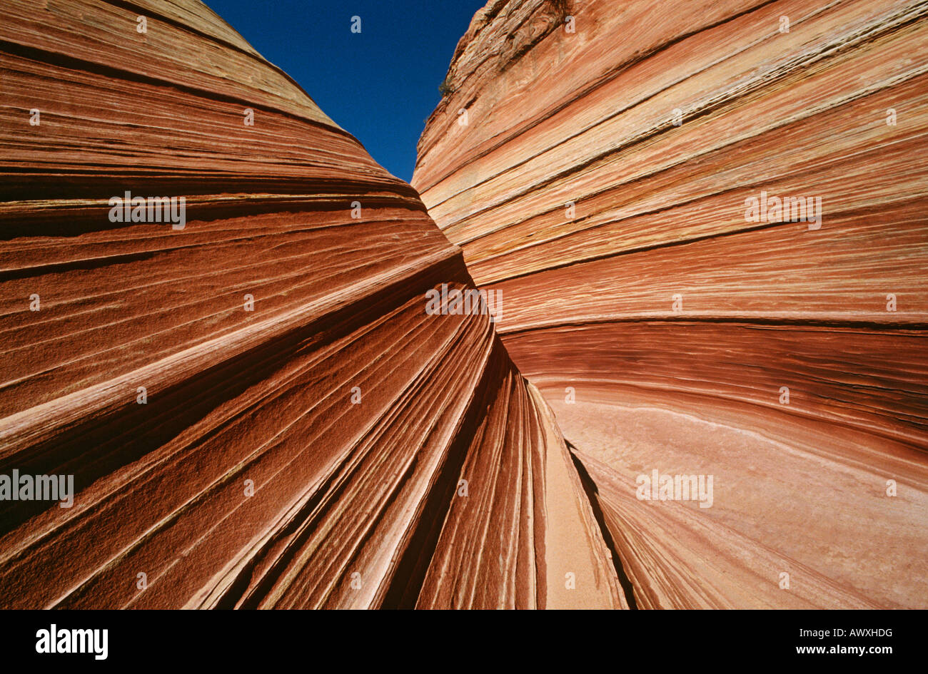 USA, Arizona, Paria Canyon-Vermilion Cliffs Wilderness, Felsformationen aus Sandstein, Nahaufnahme Stockfoto