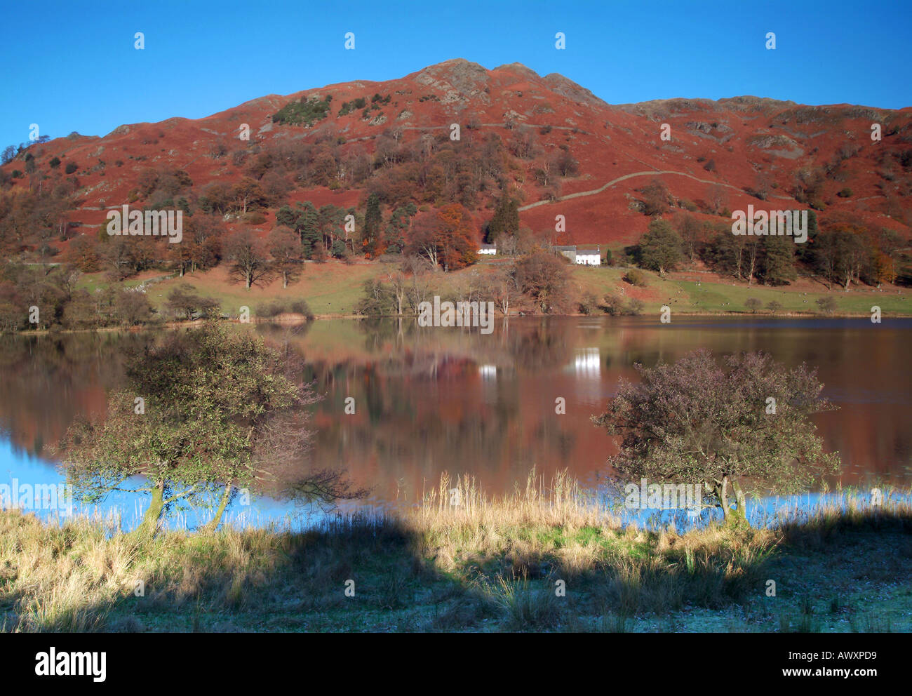 Die wie Bauernhof, Loughrigg Fell & Loughrigg Tarn in Herbst, Cumbria, Lake District, Großbritannien Stockfoto