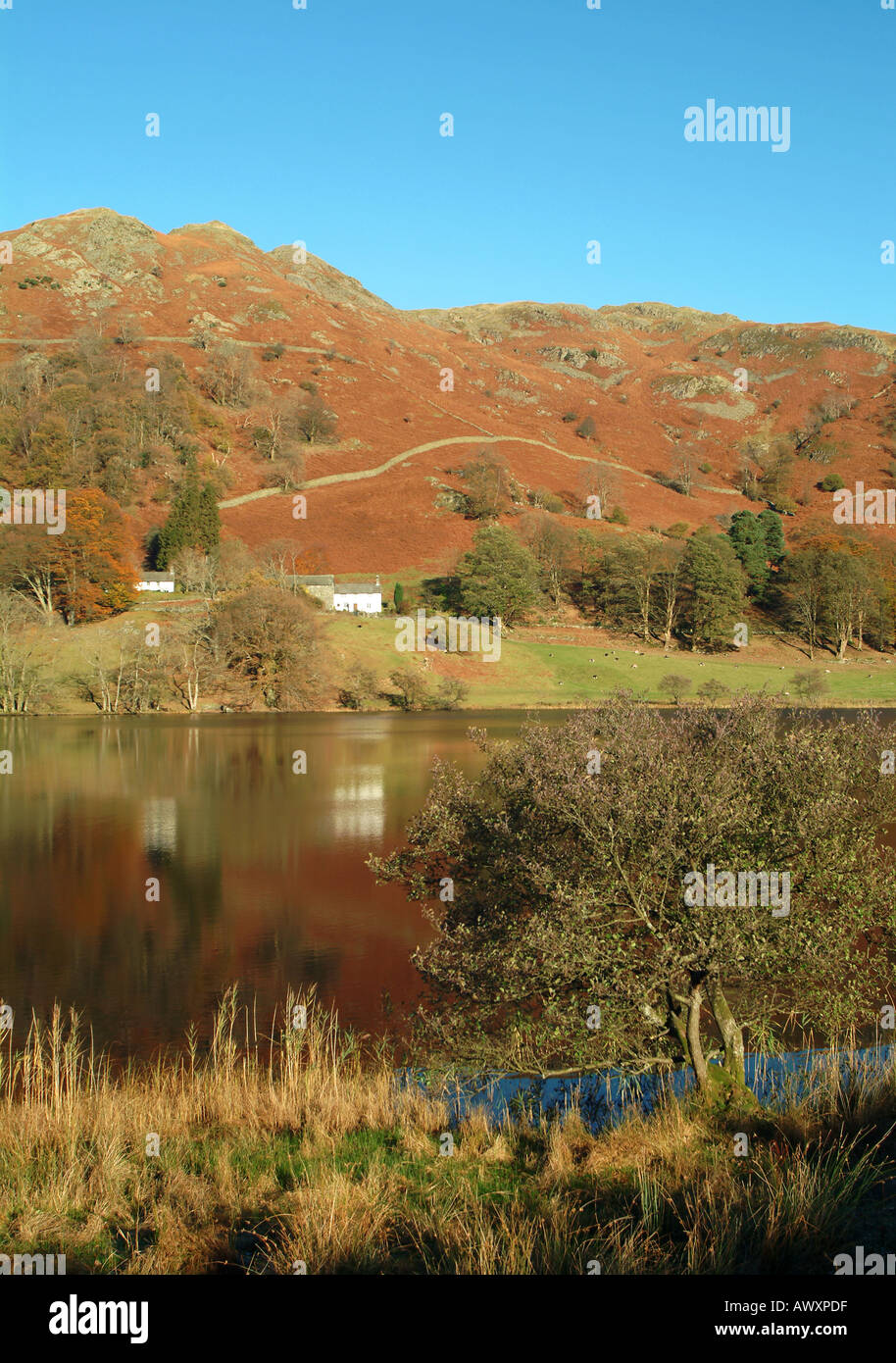 Die wie Bauernhof, Loughrigg Fell & Loughrigg Tarn in Herbst, Cumbria, Lake District, Großbritannien Stockfoto