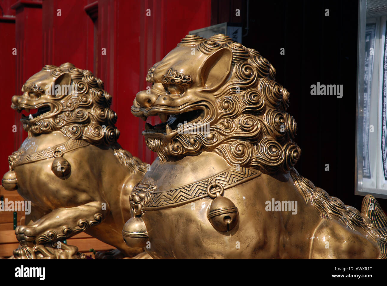 Chinesische kaiserliche Wächter Löwen, auch ein Fu Löwe oder ein Foo