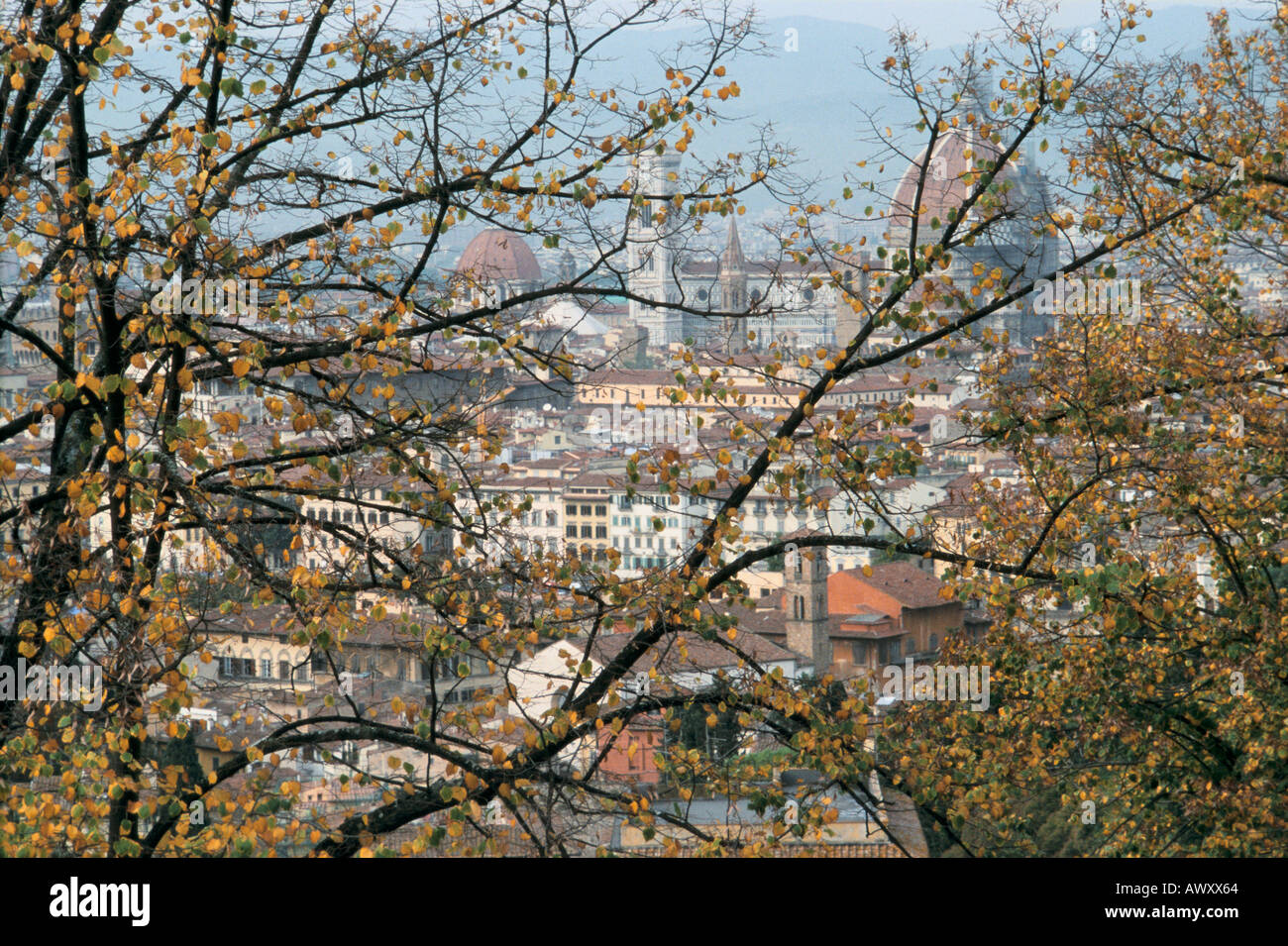 Florenz (Firenze), Dom, Kathedrale Santa Maria del Fiori und umliegenden Gebäuden aus San Miniato al Monte Stockfoto
