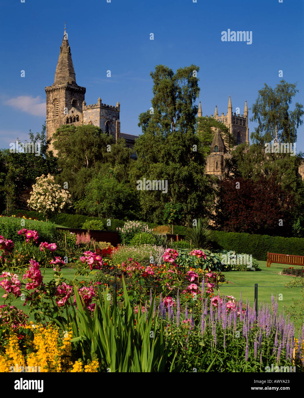 Pittencrieff Park, Dunfermline, Fife, Schottland.  Ansicht von Dunfermline Abbey und Palace Stockfoto