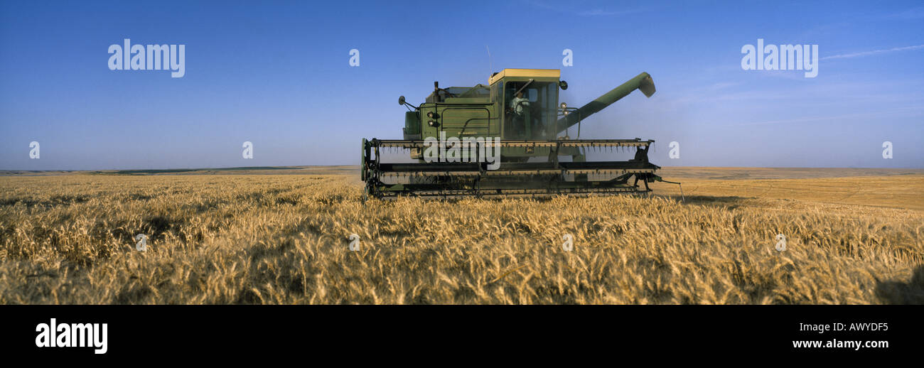 John Deere kombinieren Ernte reif Weizen Washington State USA Stockfoto